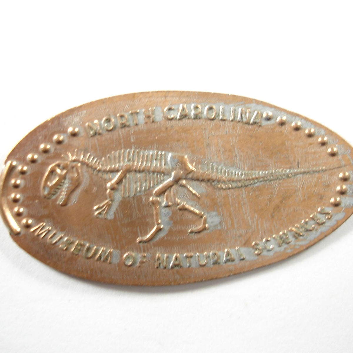 Pressed Penny North Carolina Museum of Natural Sciences Dinosaur Sk Penny Presses