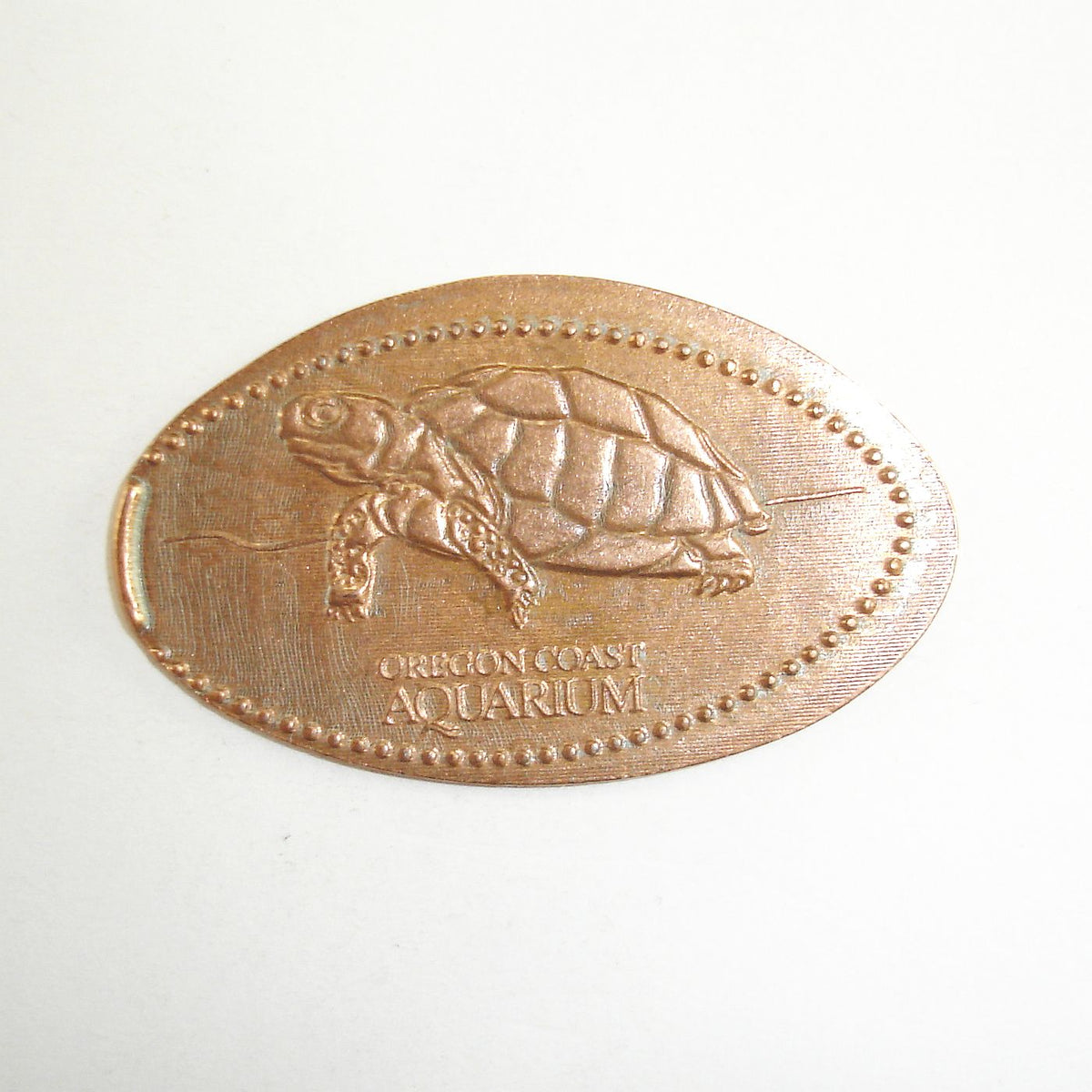 Pressed Penny Oregon Coast Aquarium Sea Turtle Penny Presses