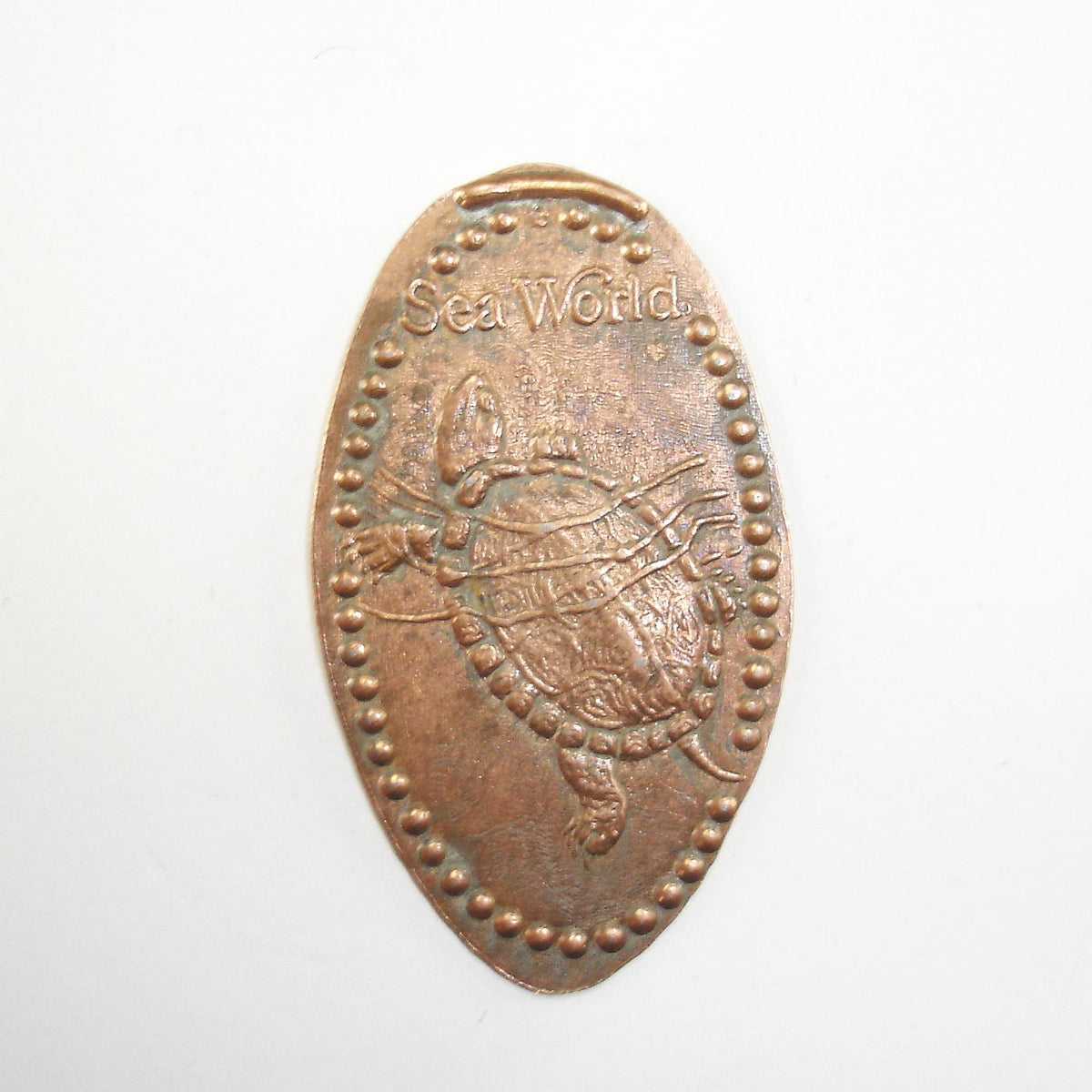 Pressed Penny Seaworld Turtle Penny Presses