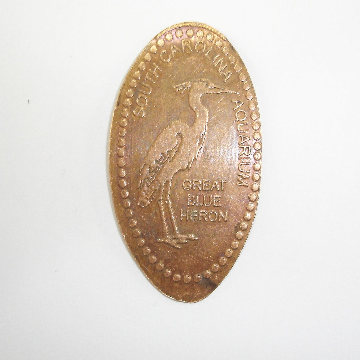 Pressed Penny South Carolina Aquarium Great Blue Heron Penny Presses
