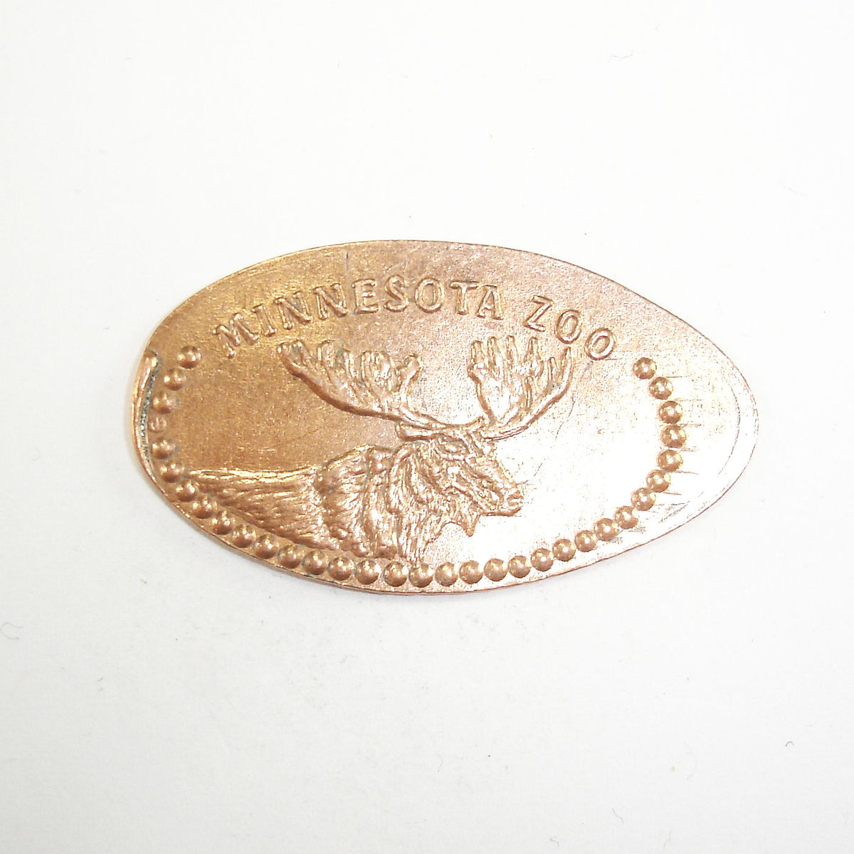 美品penny!!! Pressed Penny: Minnesota Zoo - Moose – PennyPresses.com