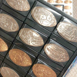Tokyo Disneyland Mega 236 Coin Set in 6 Collector Books