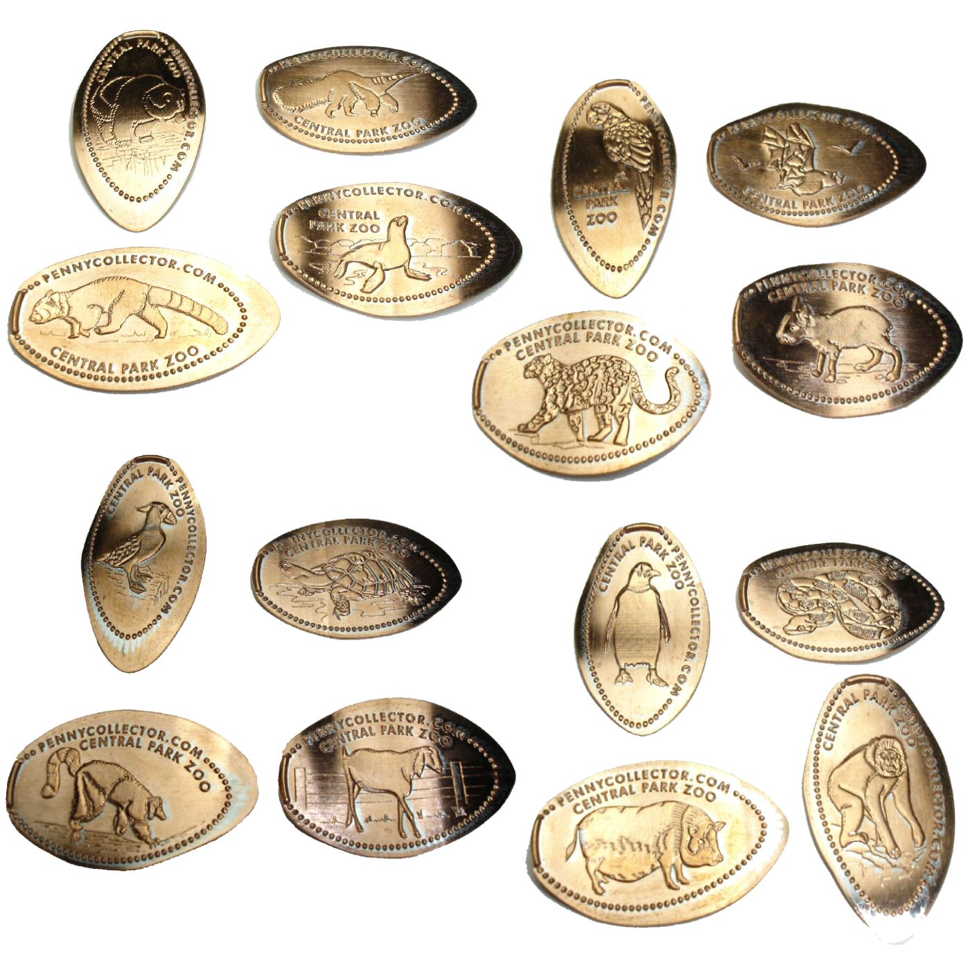 Central Park Zoo 4 Machine 16 Coin Set – PennyPresses.com