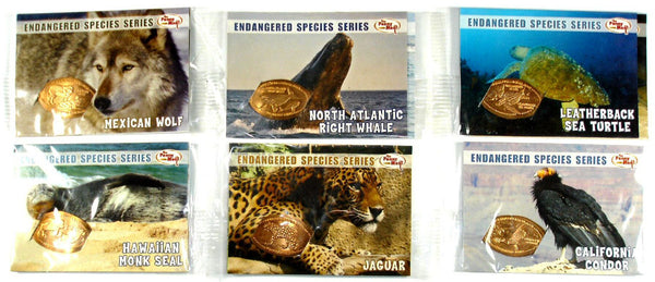Endangered Species Series Pressed Penny Card Set