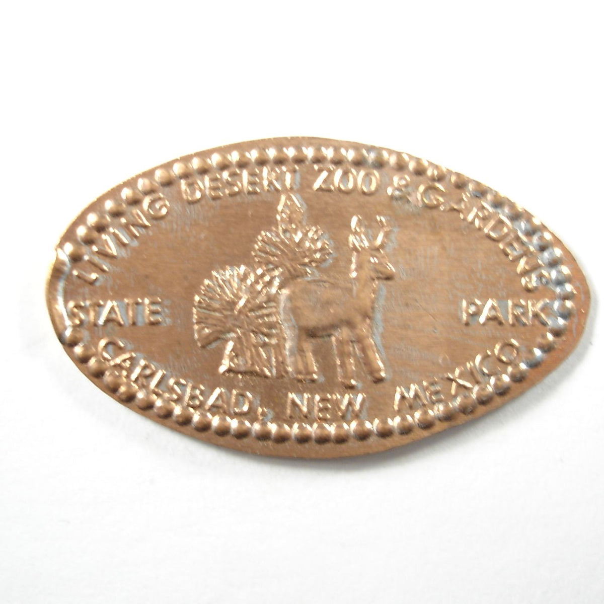 Pressed Penny Living Desert Zoo & Gardens State Park Carlsbad New M