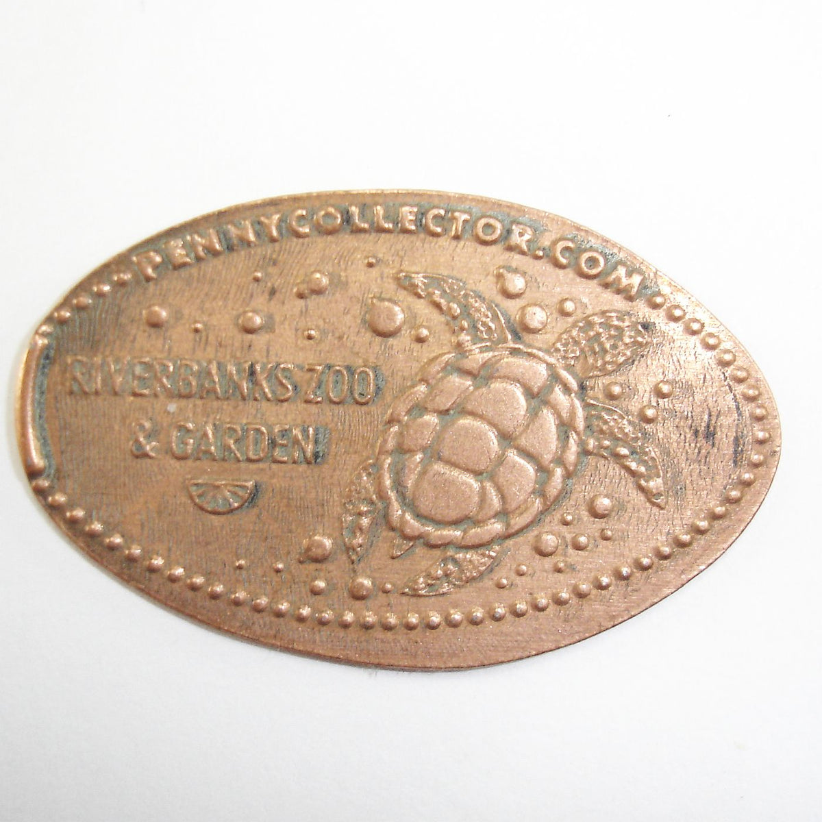 Pressed Penny Riverbanks Zoo and Garden Sea Turtle Penny Presses