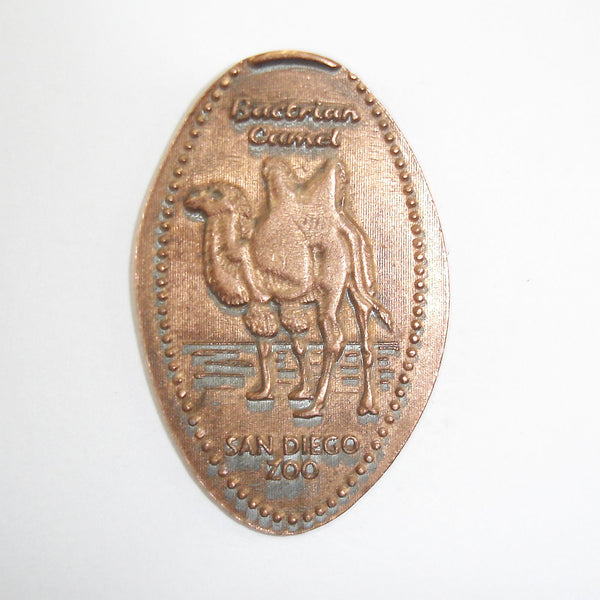 Pressed Penny: San Diego Zoo - Bactrian Camel