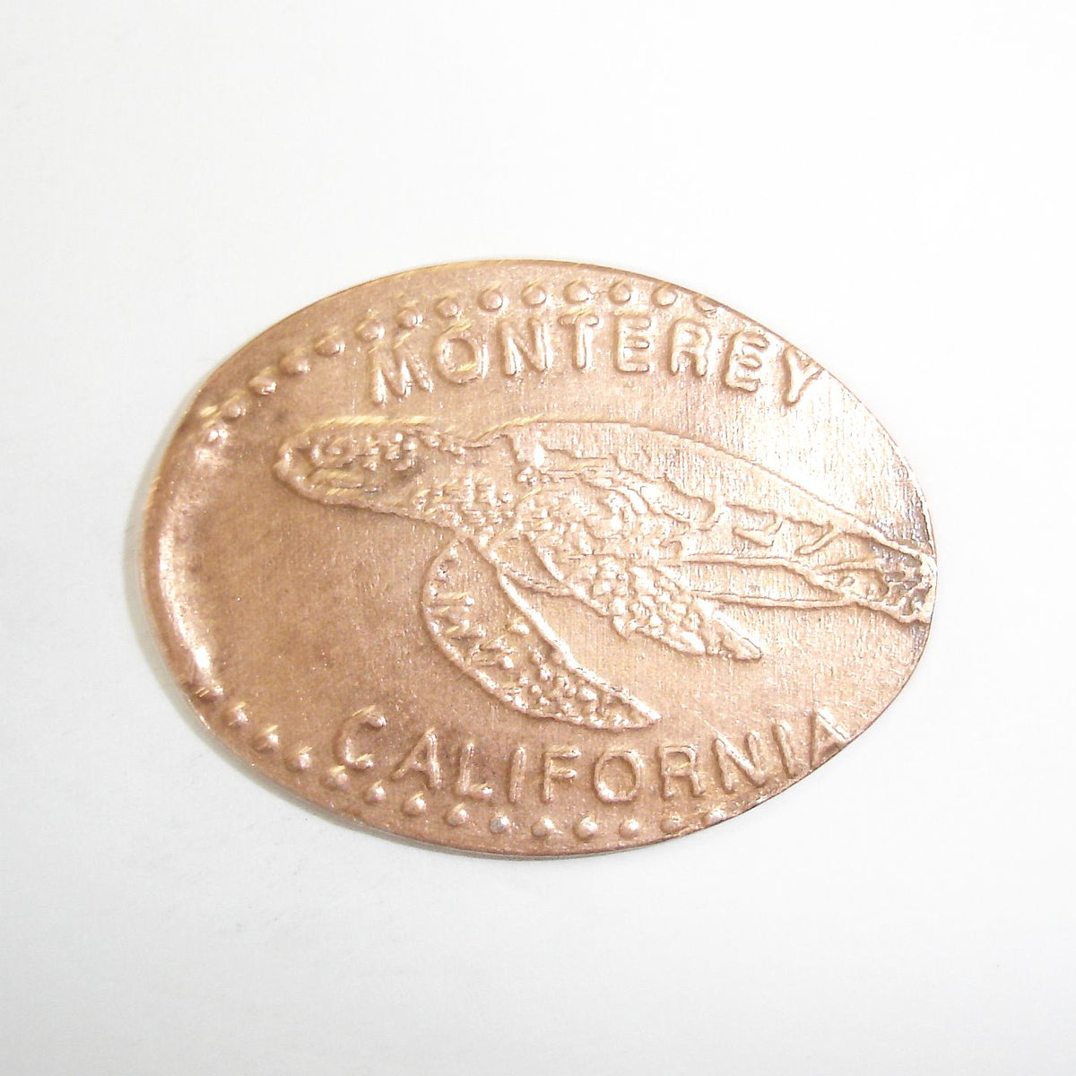 Pressed Penny Monterey California Sea Turtle Penny Presses