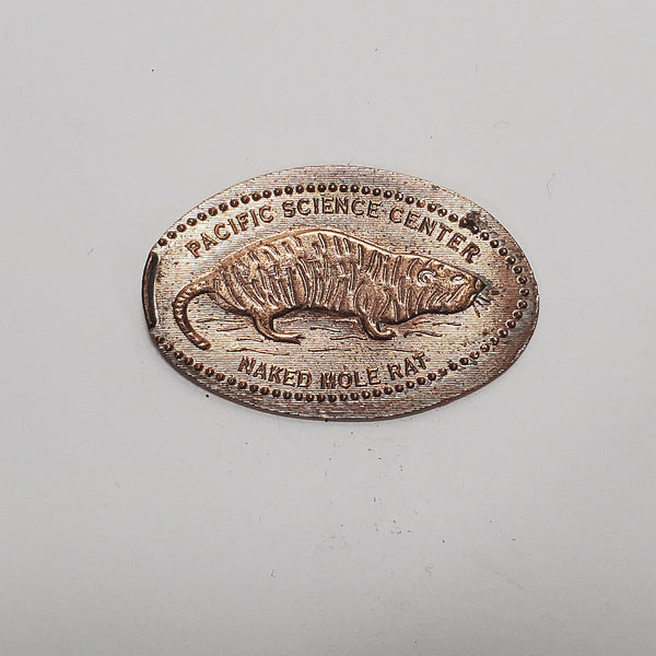 Pressed Penny: Pacific Science Center - Naked Mole Rat