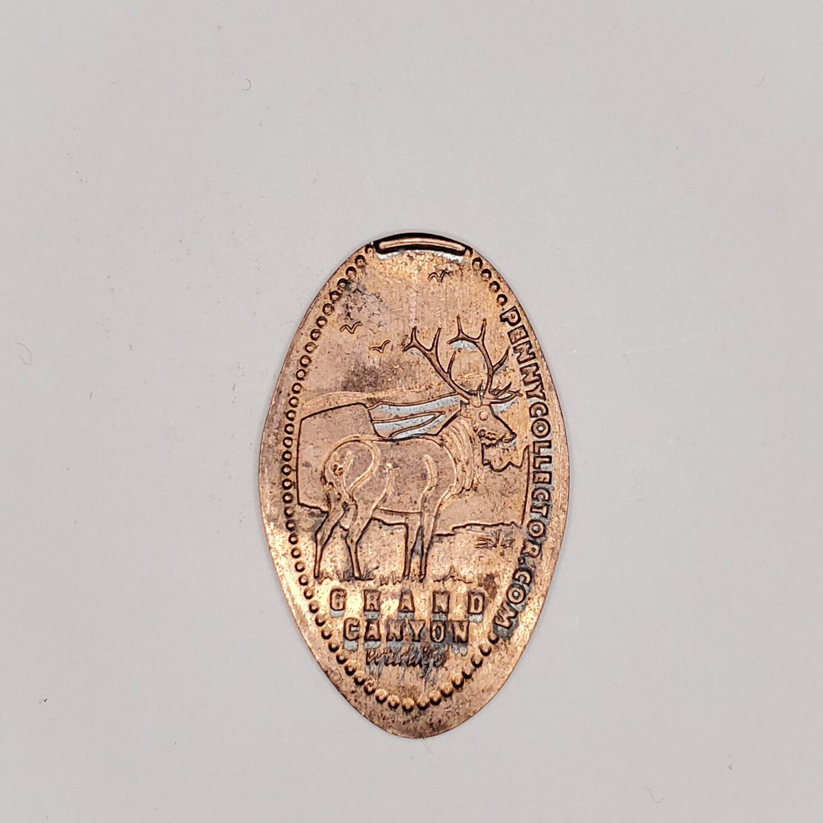 Pressed Penny Grand Canyon Wildlife Deer with Antlers Penny Presses