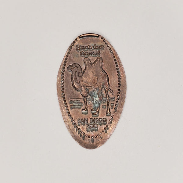 Pressed Penny: San Diego Zoo - Bactrian Camel with 2 Humps