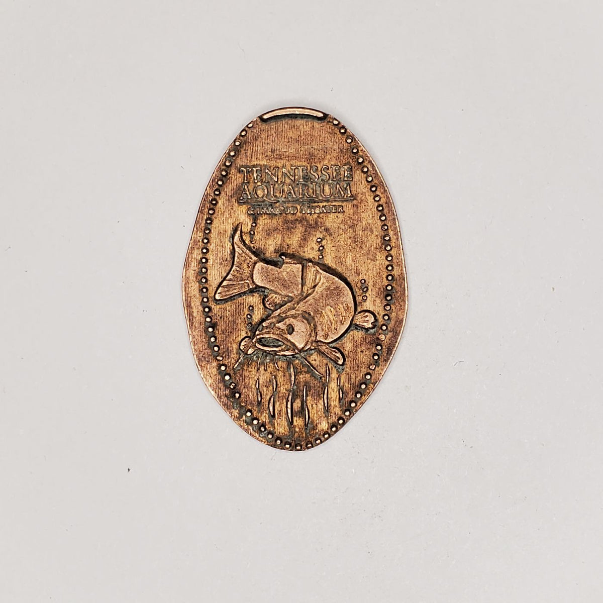 Pressed Penny Tennessee Aquarium Catfish Penny Presses