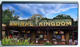 Disney Penny Book - Disney's Animal Kingdom