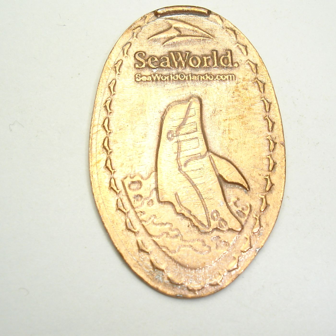 Pressed Penny: Seaworld Orlando - Dolphin – Penny Presses